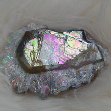Aura amethyst rosette