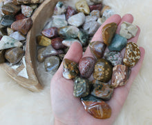 Ocean jasper tumbled stones - Set of three