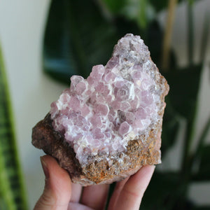 Cobalto Calcite Cluster